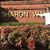 Sharon Tanory Wall's profile image
