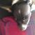 Tina Horn's profile image