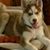 Linda Glace Bennett-Embry's profile image