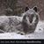 Jody Roth Risdon's profile image