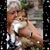 Linda James's profile image