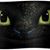 Liz DeWert's profile image