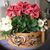 Berit Madsen's profile image