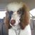 Dennis Bucher's profile image