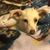 Kathie V Pruitt's profile image