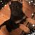 Louise McIntosh's profile image