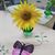 Tiffany N Jason Rundhaugen's profile image