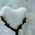 Sandy Clewis's profile image