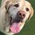 Leslie Kegg Reed's profile image