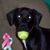 Lynn Sullivan's profile image