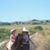 Julie Masner's profile image