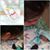 Janet Garner's profile image