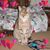 Lisa Bican-Snyder's profile image