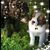 Terry Hunt's profile image