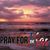 Terrie Ward's profile image