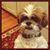 Stacey Flynn-Kissel's profile image