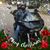 Don Mann's profile image