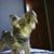 Monica Langreder's profile image