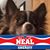 Nanette King's profile image