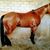 Moy Torres's profile image