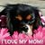 Debbie Nasser's profile image