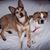 Laurie Hertzlin Wade's profile image