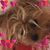 Cathy Hill McMullen-Miller's profile image
