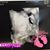 Crystal Lee Hazlett's profile image