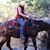 Claudia Hubbard Stevens's profile image