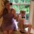 Jenny Roberts's profile image