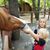 Chamarie Yarbrough's profile image