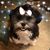 Karen Baker Harris's profile image
