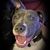 Candace Dickerson's profile image