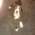 Paula Mohr's profile image