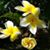 Linda Kramer's profile image