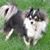 Cathi Jorgensen's profile image