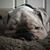 Sandi Kenitzer's profile image