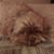 Betty Jones's profile image