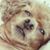 Hye-seon Ji's profile image