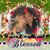 Michelle Pallack's profile image