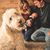 Ashton Meints Bohling's profile image