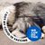 Linda Keehn's profile image