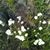 Roxanne Klugherz's profile image