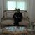 Alaa Taiger's profile image