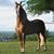 Armando Mejia's profile image