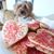 Gloria Patitucci's profile image