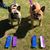 Angie Collins Schleyer's profile image