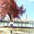 Tran Thanh Thao's profile image