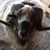 Michael Morris Peters's profile image