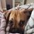 Kristopher Wright's profile image